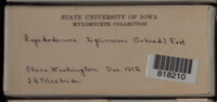 Image Associated With the Occurence